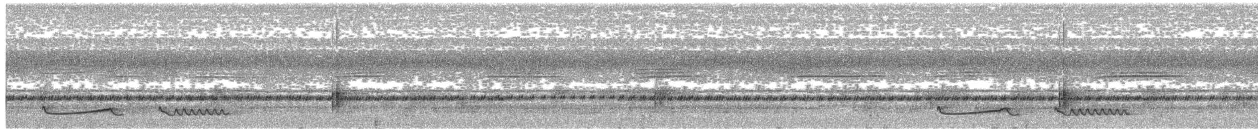 Ötücü Çobanaldatan (nigriscapularis) - ML280994791
