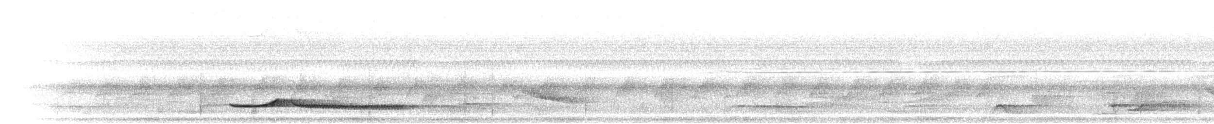 Large Wren-Babbler - ML281033