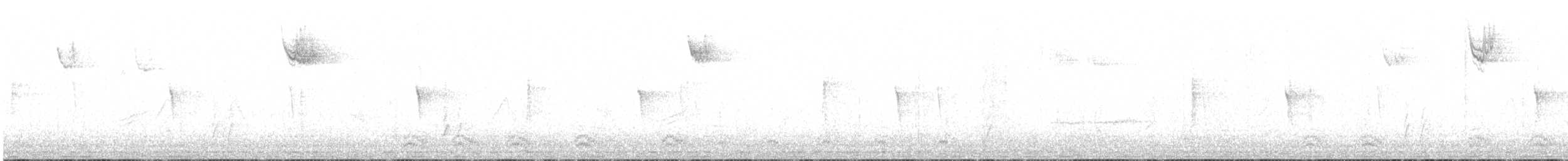Светлобрюхий фиби - ML281037841
