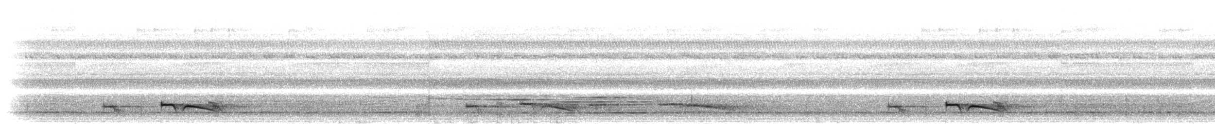 Temmincknachtschwalbe - ML281082