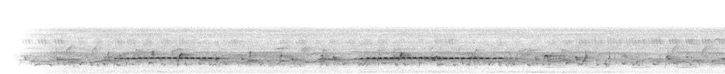Little Bronze-Cuckoo - ML281148