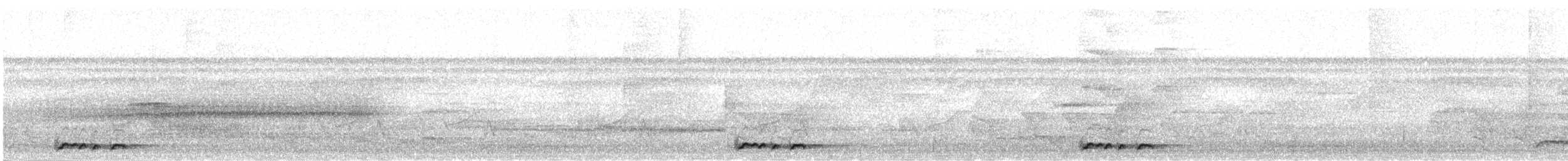 holoubek vlnkovaný - ML281154