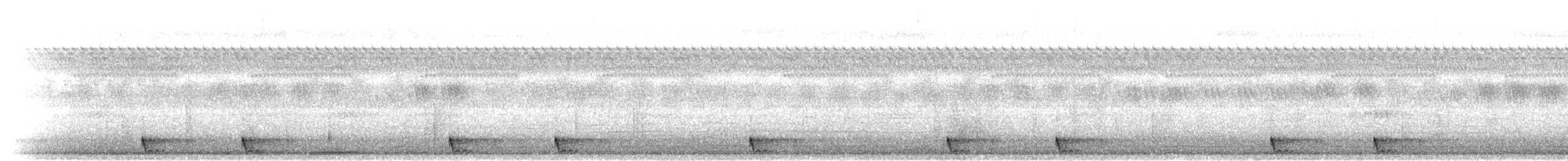Large-tailed Nightjar - ML281192