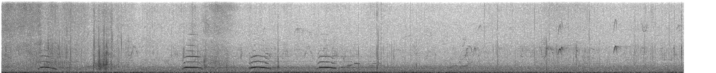 Cygne siffleur - ML281266081