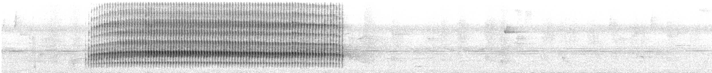 Дятел-смугань сіроголовий - ML28127361