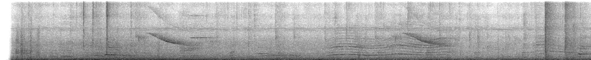 White-tailed Nightjar - ML281288091