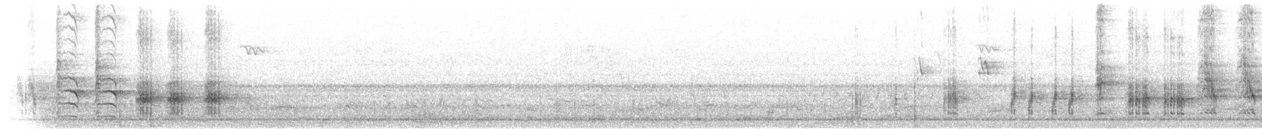 Great Reed Warbler - ML281314621