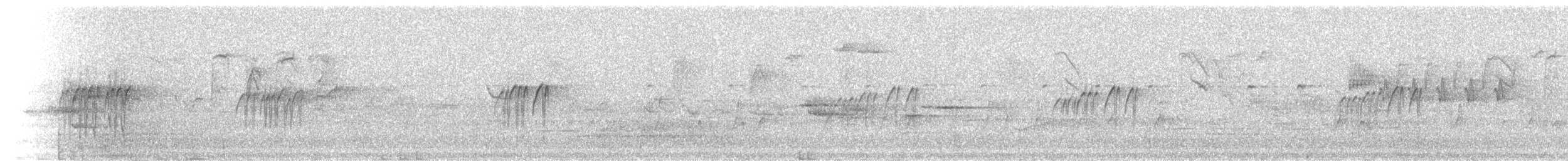 Graumennigvogel - ML281318