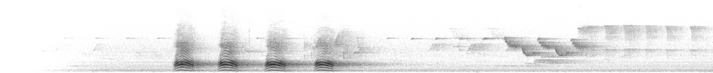 Cuervo Picudo (grupo macrorhynchos) - ML281322