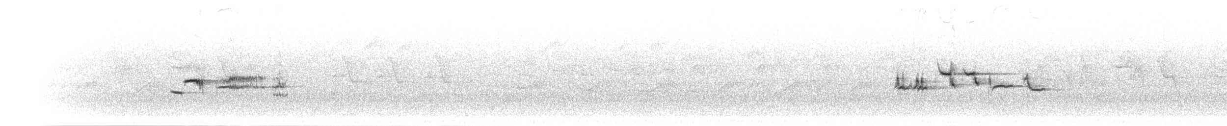Nergis Sinekkapanı - ML281356