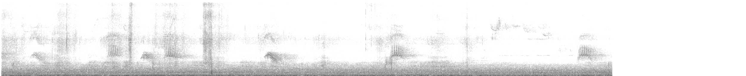 Вечерний дубонос - ML281402011