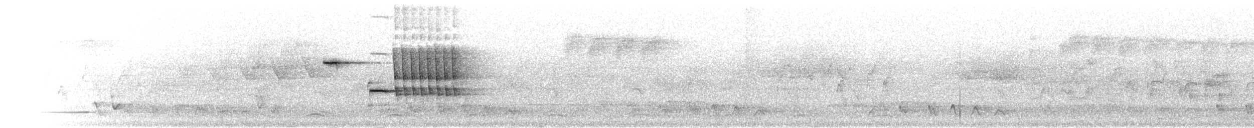 izurødskjegg - ML281457