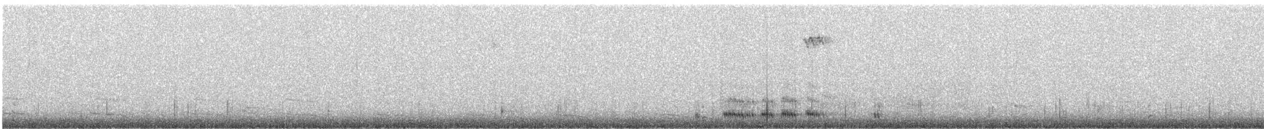 kamenáček černohlavý - ML281502001