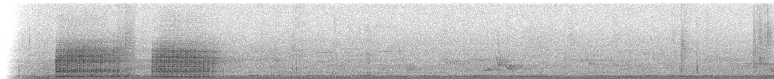 Black Wood-Pigeon - ML281507