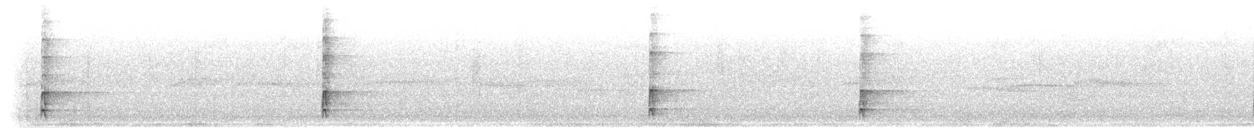 Weißrückenspecht [leucotos-Gruppe] - ML281555