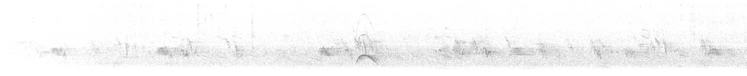 White-crested Elaenia - ML281572151