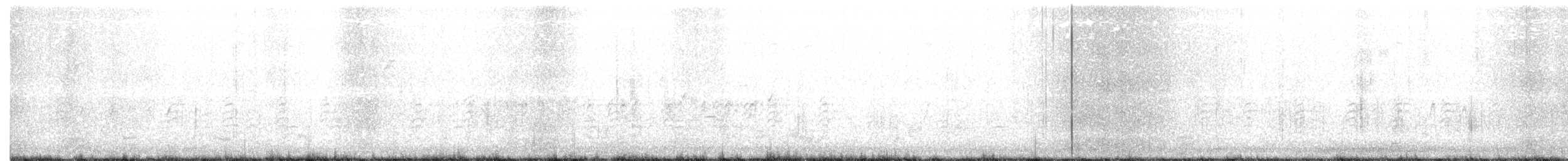 Шишкар ялиновий - ML281610141