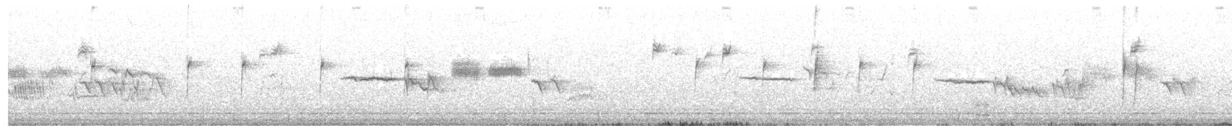 White-crowned Sparrow - ML281612471