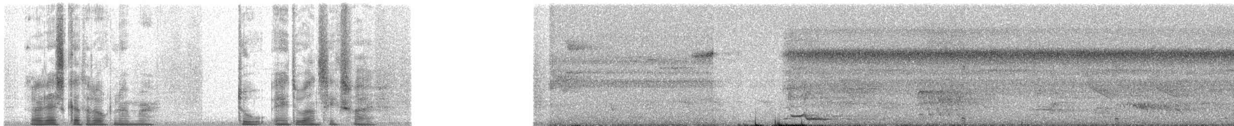 Глазчатая индейка - ML28165