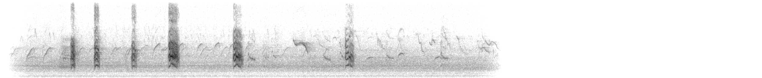 Black-naped Tern - ML281652