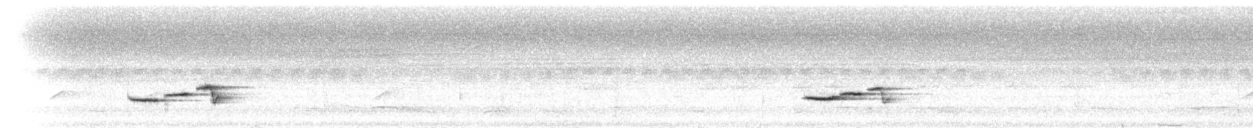 Ryuku Nergis Sinekkapanı - ML281666
