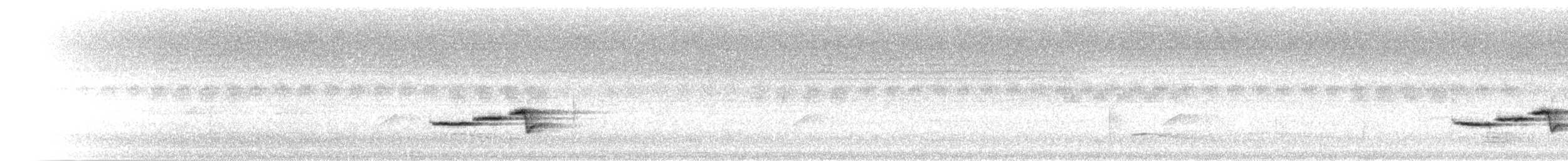 Ryuku Nergis Sinekkapanı - ML281667