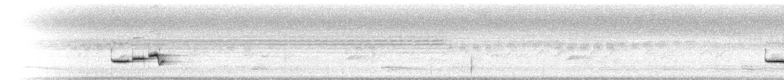 Ryuku Nergis Sinekkapanı - ML281668