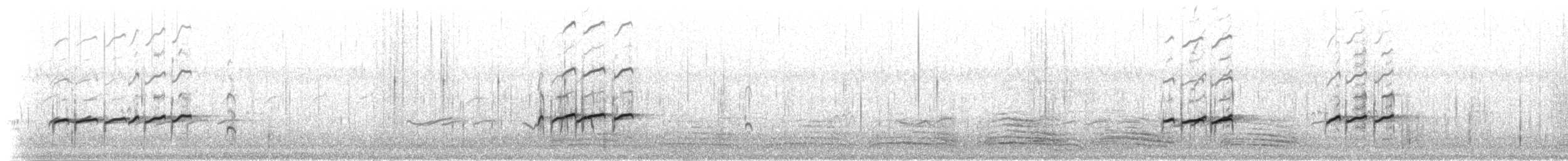Gray-tailed Tattler - ML281684