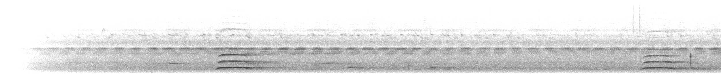 Ошейниковая совка - ML281754