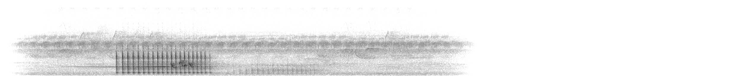 strakapoud okinawský - ML281768