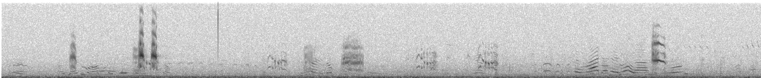 Lesser Crested Tern - ML281832251
