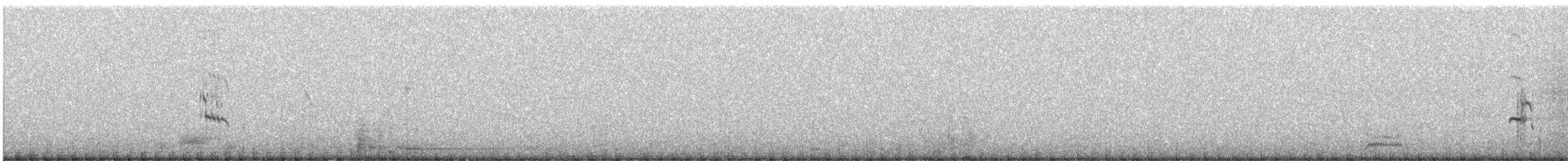 Lesser Crested Tern - ML281832261