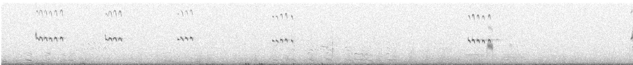 Lesser Crested Tern - ML281832271