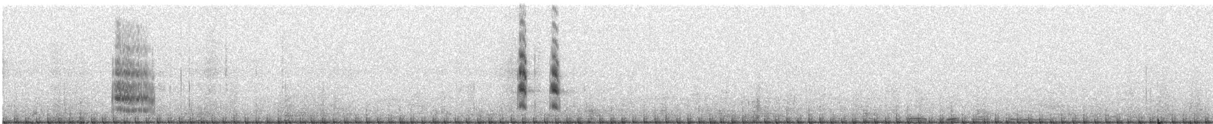 Lesser Crested Tern - ML281832281