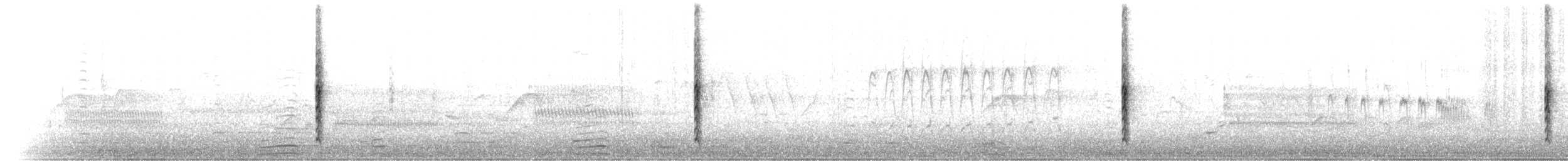Carouge à épaulettes (groupe phoeniceus) - ML28189001