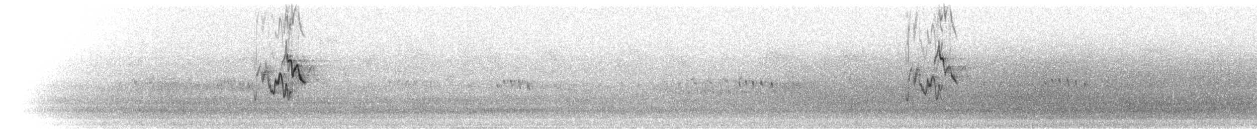 Lavandera Blanca (lugens) - ML281916