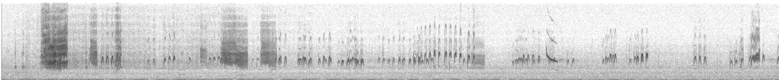 Zigolo delle nevi - ML281919271