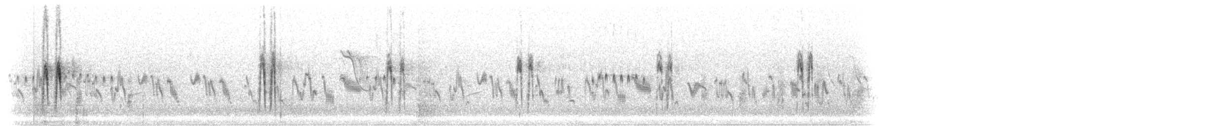 Lavandera Blanca (lugens) - ML281924