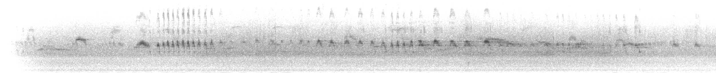 gaffelseiler - ML281926