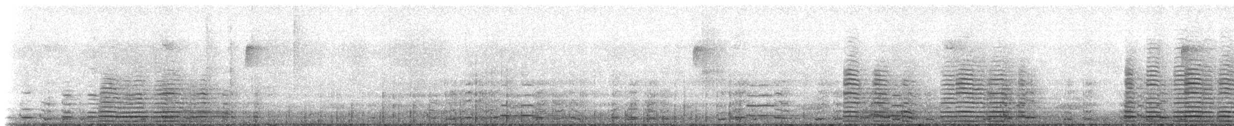 Cisne Trompetero - ML281952241