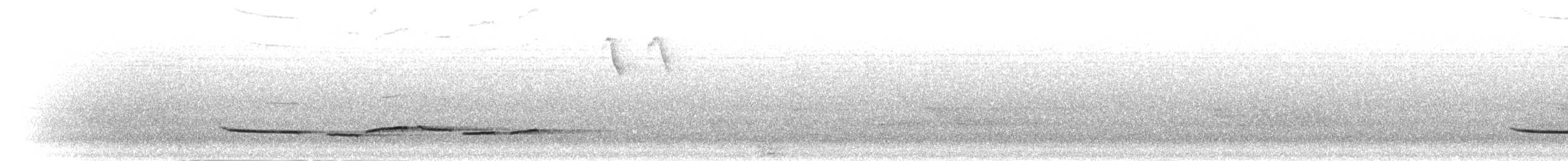 Benek Kanatlı Ardıç - ML281976