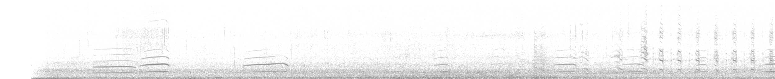 grønlandsmåke (kumlieni) - ML281984051