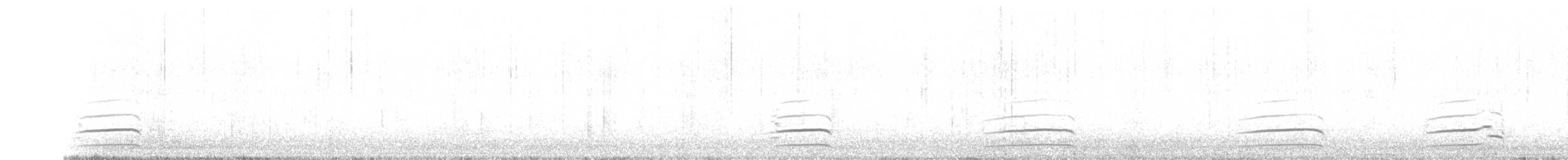 Polarmöwe (kumlieni) - ML281984071