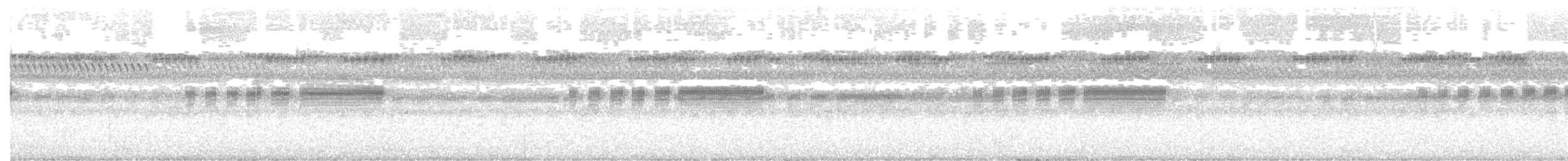 Haitinachtschwalbe - ML282006501