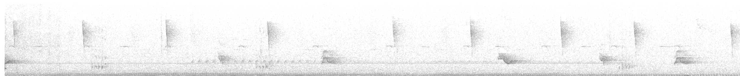 Rotfußdrossel (ardosiaceus/albiventris) - ML282007131