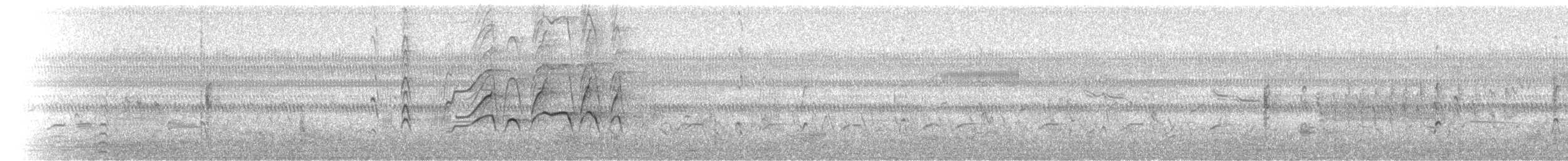Kara Karınlı Islıkçı Ördek - ML28201451