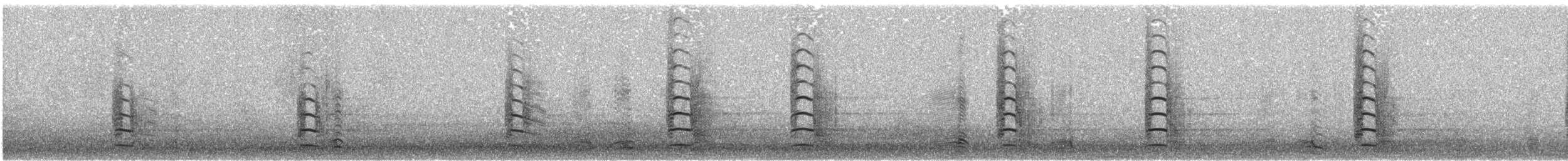 Гуска білолоба (підвид flavirostris) - ML282020091