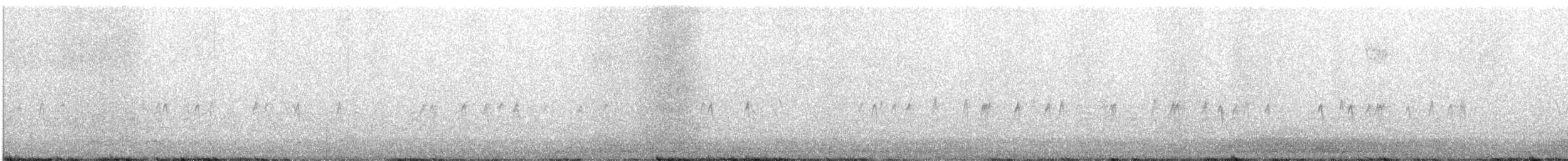 "Шишкар ялиновий (Northeastern, або тип 12)" - ML282021221