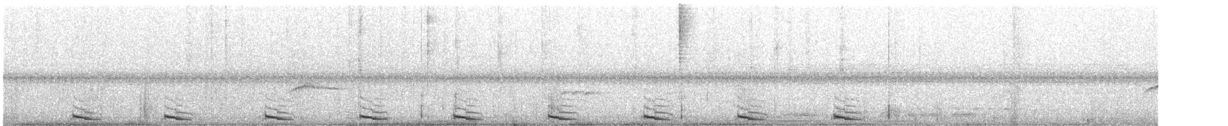 ギンムネカッコウ - ML282026411