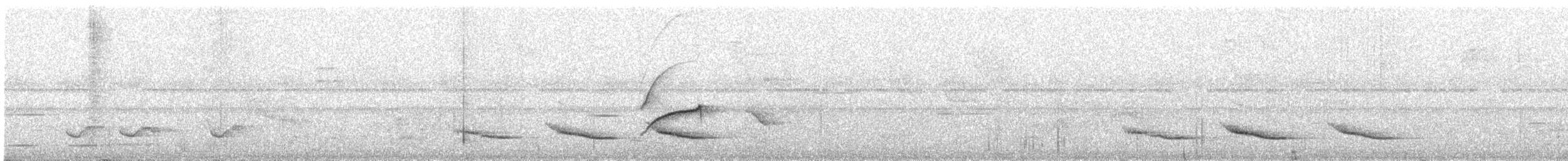 Band-tailed Manakin - ML282067451